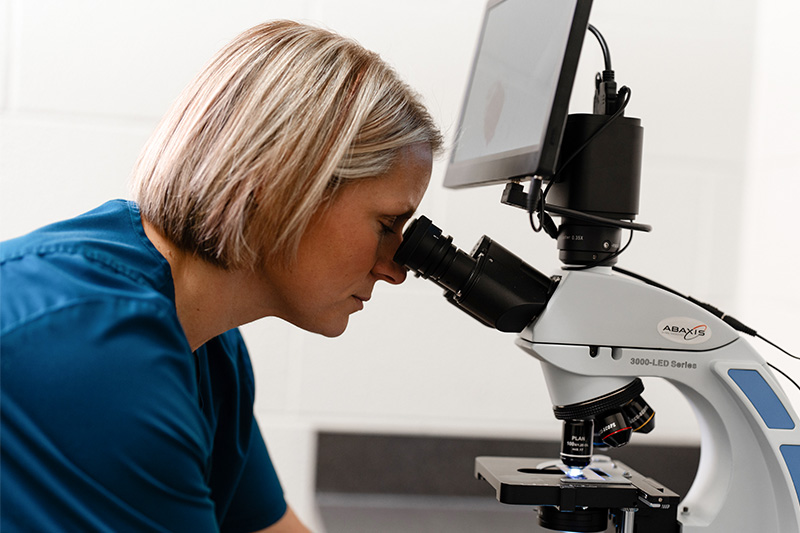 scientists in lab using microscope